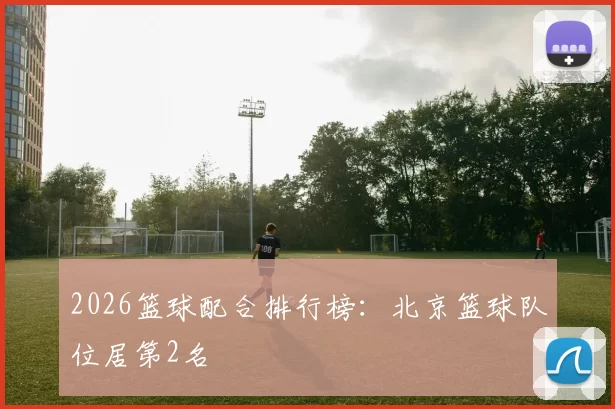 2026篮球配合排行榜：北京篮球队位居第2名