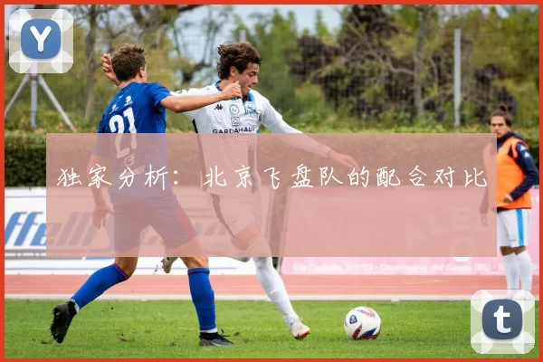 独家分析：北京飞盘队的配合对比