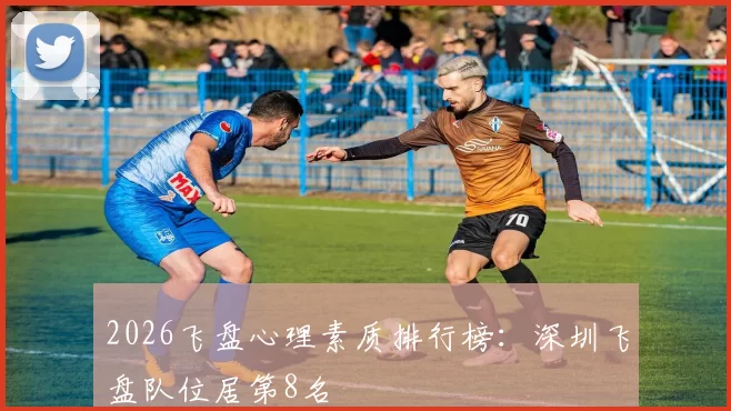 2026飞盘心理素质排行榜：深圳飞盘队位居第8名