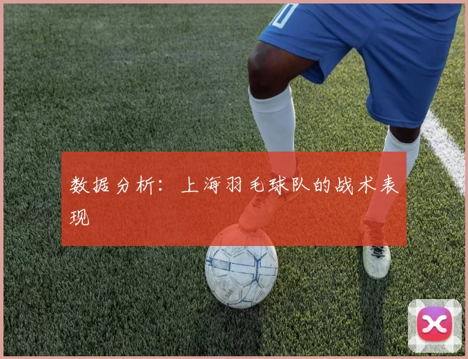 数据分析：上海羽毛球队的战术表现